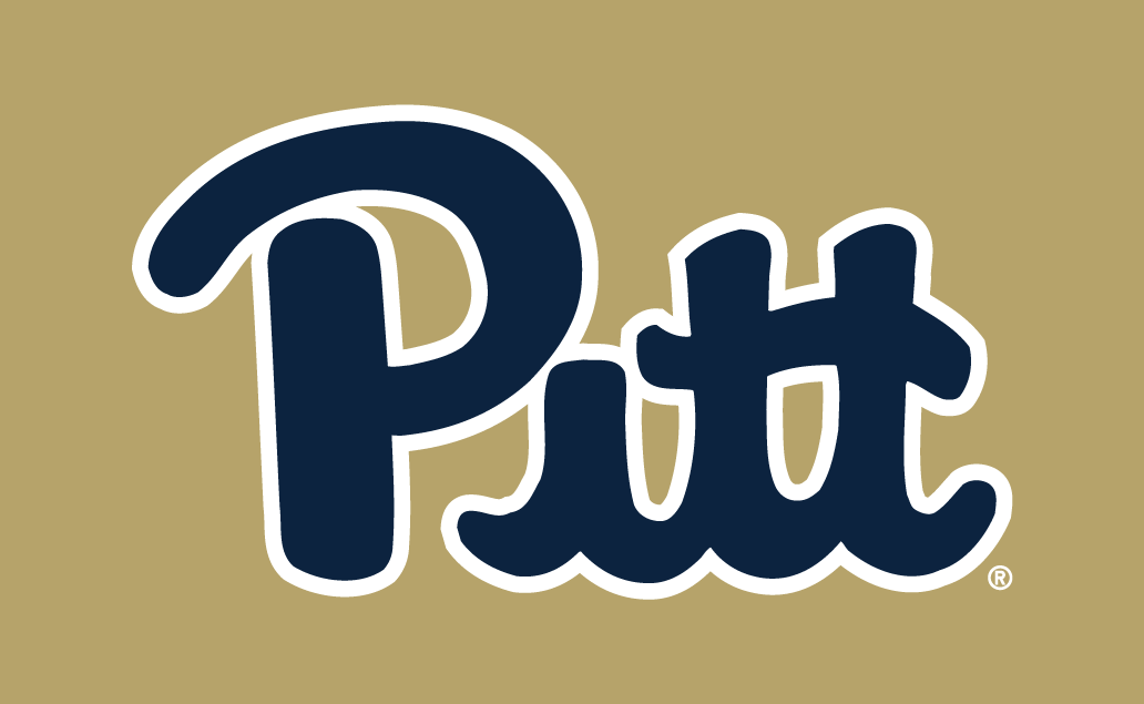 Pittsburgh Panthers 2016-2018 Alternate Logo v3 diy iron on heat transfer
